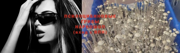 гидропоника Алзамай
