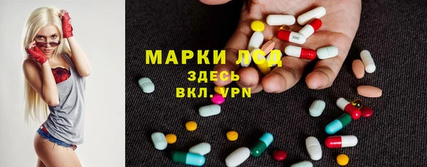 гидропоника Алзамай