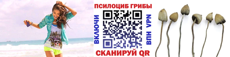 Галлюциногенные грибы ЛСД  закладка  Игра 